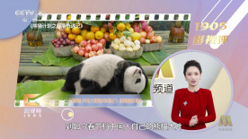 宅男视频污在线看